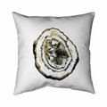 Fondo 20 x 20 in. Golden Geode-Double Sided Print Indoor Pillow FO3333131